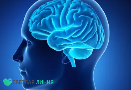 Мозг человека